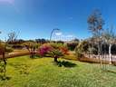Planta baja en venta en Marratxí