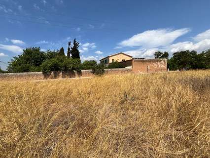 Parcela rústica en venta en Marratxí