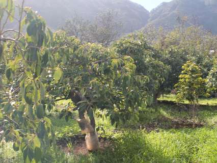 Parcela rústica en venta en Valsequillo