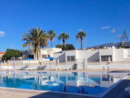 Estudio en alquiler en Arona zona Costa del Silencio