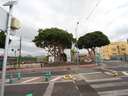 Apartamento en venta en Arona zona Guargacho rebajado