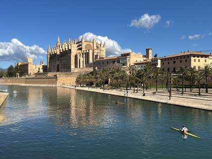 Parcela rústica en venta en Palma de Mallorca