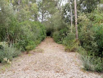 Parcela rústica en venta en Sencelles