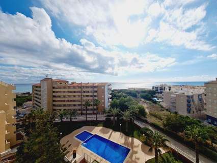 Apartamento en venta en Torrevieja