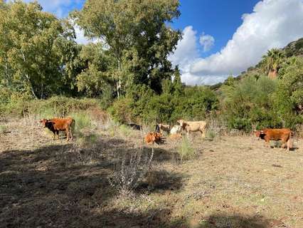 Casa rústica en venta en Valverde del Camino