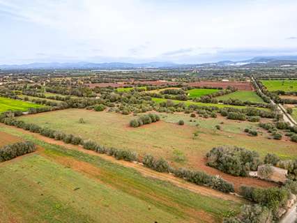 Casa rústica en venta en Felanitx