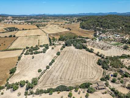 Parcela rústica en venta en Porreres rebajada