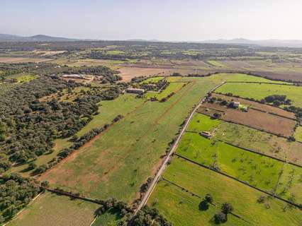 Parcela rústica en venta en Ariany