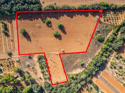 Parcela rústica en venta en Felanitx