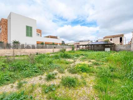 Parcela rústica en venta en Campos rebajada