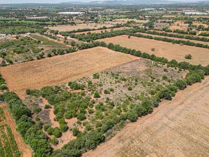 Parcela rústica en venta en Felanitx