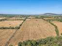 Parcela rústica en venta en Sencelles