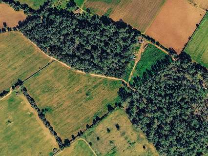 Parcela rústica en venta en Sencelles