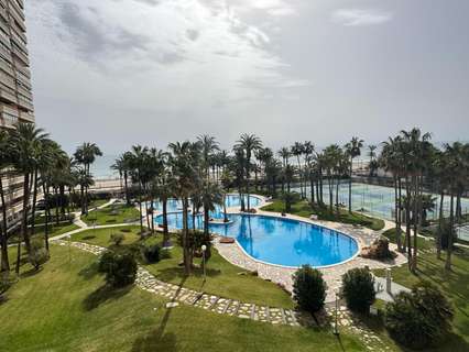 Apartamento en alquiler en Alicante