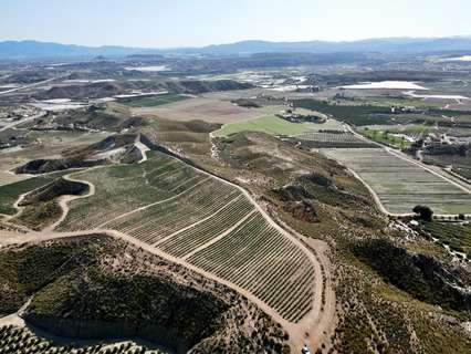 Parcela rústica en venta en Cuevas del Almanzora