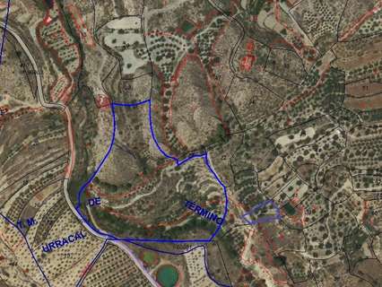 Parcela rústica en venta en Urrácal