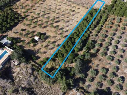 Parcela rústica en venta en Cantoria