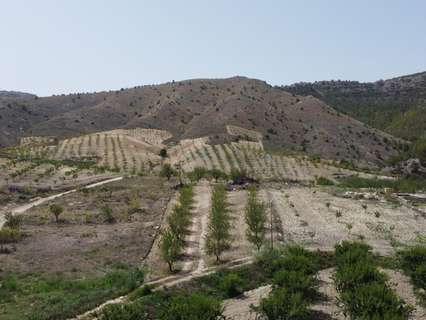 Parcela rústica en venta en Oria