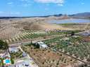 Cortijo en venta en Tabernas