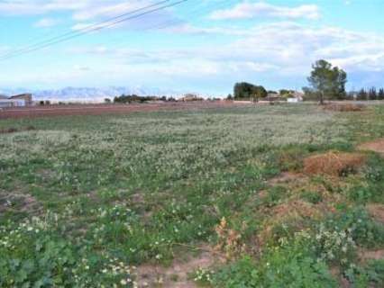 Parcela rústica en venta en Lorca