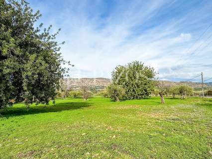 Parcela rústica en venta en Alhaurín de la Torre rebajada