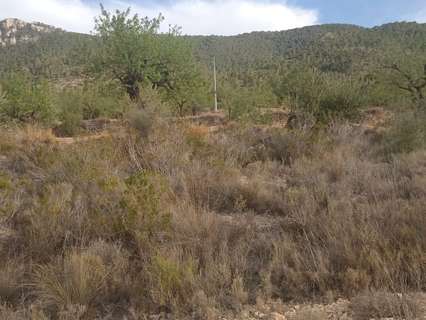 Parcela en venta en Hondón de las Nieves