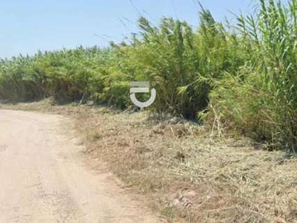 Parcela rústica en venta en Cullera