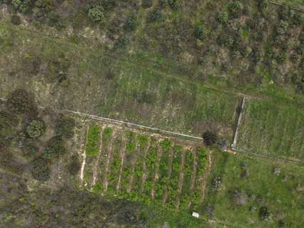 Parcela rústica en venta en Barxeta