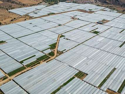 Parcela rústica en venta en Níjar