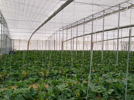 Parcela rústica en venta en Níjar