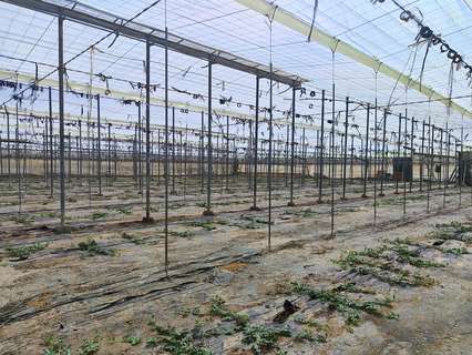 Parcela rústica en venta en Níjar zona Campohermoso