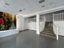 Local comercial en alquiler en El Ejido