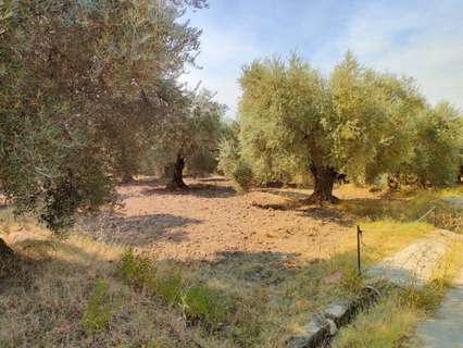Parcela rústica en venta en Ugíjar