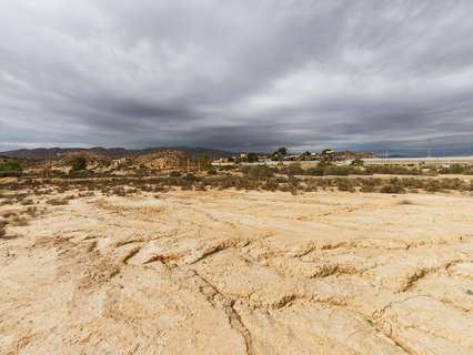 Parcela rústica en venta en Pechina