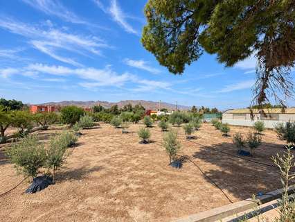 Casa rústica en venta en Pechina