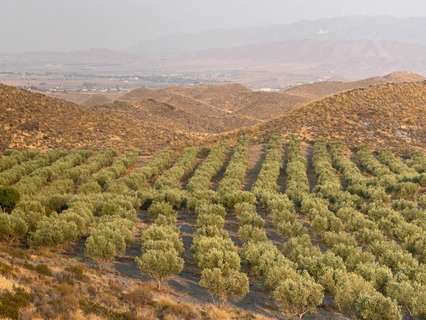 Casa rústica en venta en Tabernas rebajada