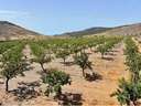 Cortijo en venta en Gérgal