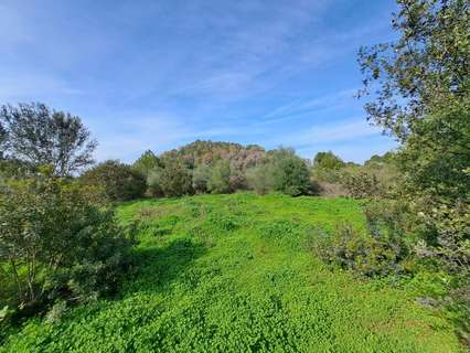 Parcela rústica en venta en Carcaixent