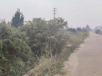 Parcela industrial en venta en Carcaixent