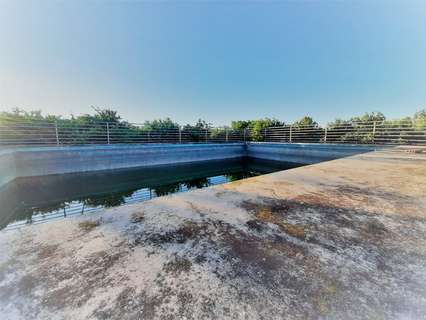 Parcela rústica en venta en Carcaixent