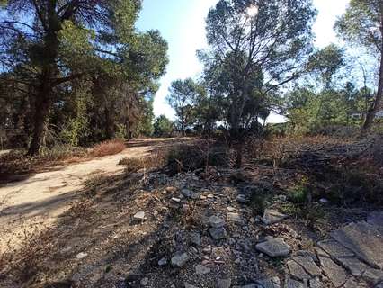 Parcela rústica en venta en Alberic