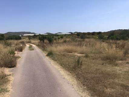 Parcela rústica en venta en Alfarp