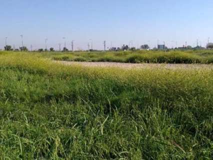 Parcela rústica en venta en Alzira