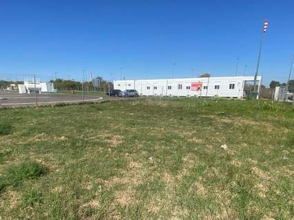 Parcela rústica en venta en Alzira