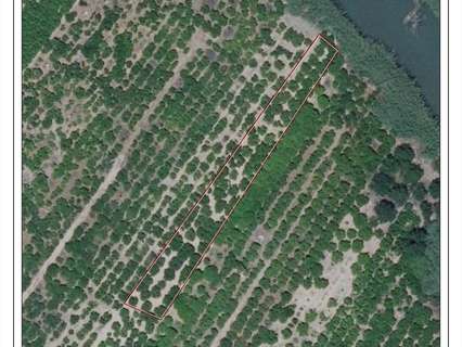 Parcela rústica en venta en Polinyà de Xúquer