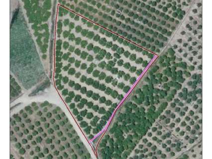 Parcela rústica en venta en Alzira