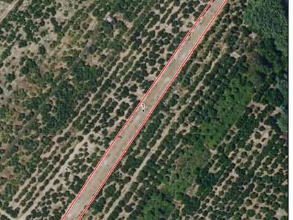 Parcela rústica en venta en Polinyà de Xúquer