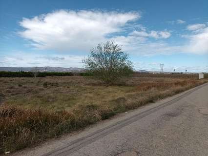 Parcela rústica en venta en L'Alcúdia