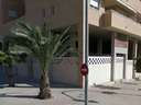 Local comercial en alquiler en Alicante