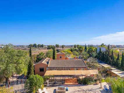 Finca en venta en Catral zona Catral